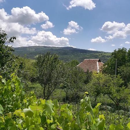 Guest House Luka Manglisi Zewnętrze zdjęcie