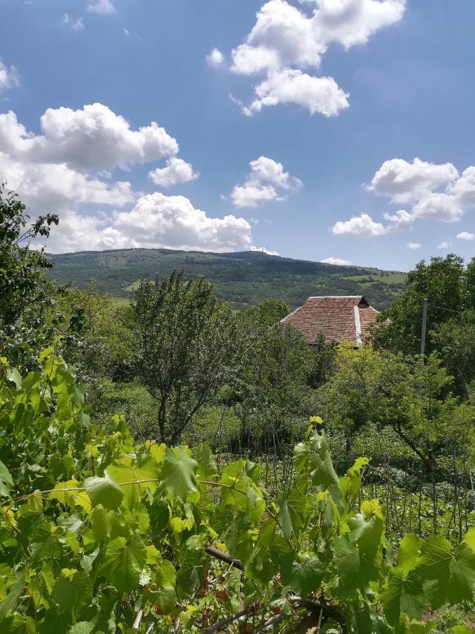 Guest House Luka Manglisi Zewnętrze zdjęcie
